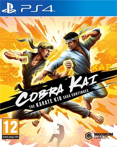 Cobra Kai: The Karate Kid Saga Continues